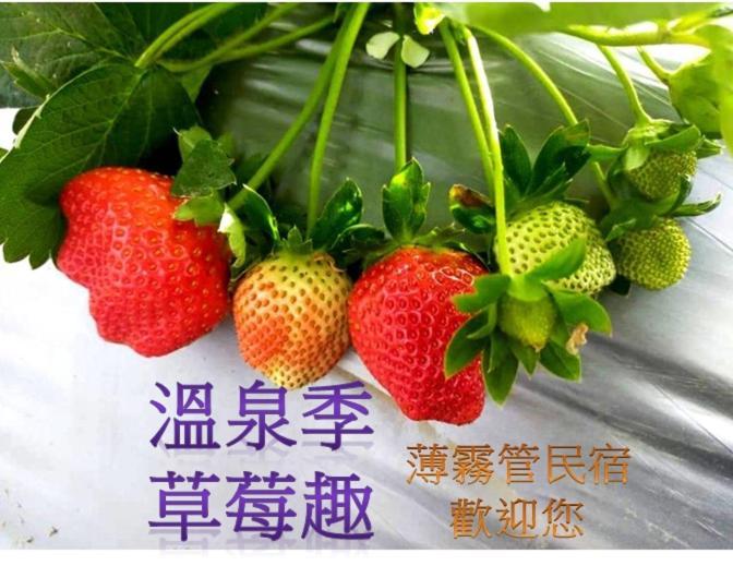 Miaoli Sanyi Bo Wu Guan Homestay Exterior photo