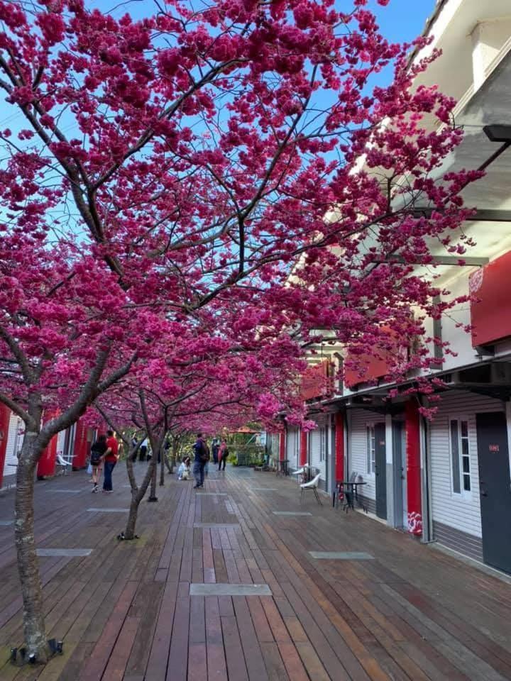 Miaoli Sanyi Bo Wu Guan Homestay Exterior photo