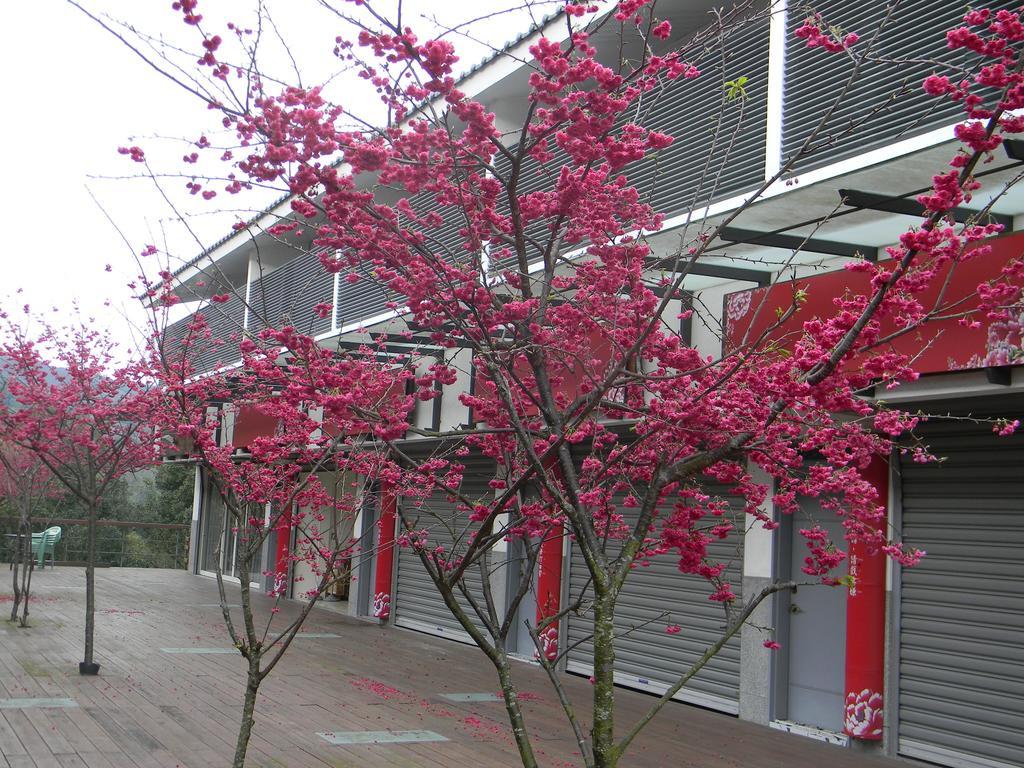 Miaoli Sanyi Bo Wu Guan Homestay Exterior photo